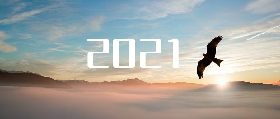 乘“峰”而上，智“盈”未来 ——2021年盈峰环境高级资深副总裁新年开工动员